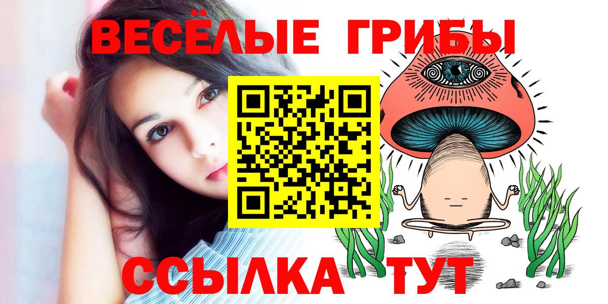 Удомля  Галлюциногенные грибы Psilocybine cubensis  Псилоцибиновые грибы Magic Shrooms  Вход с VPN 