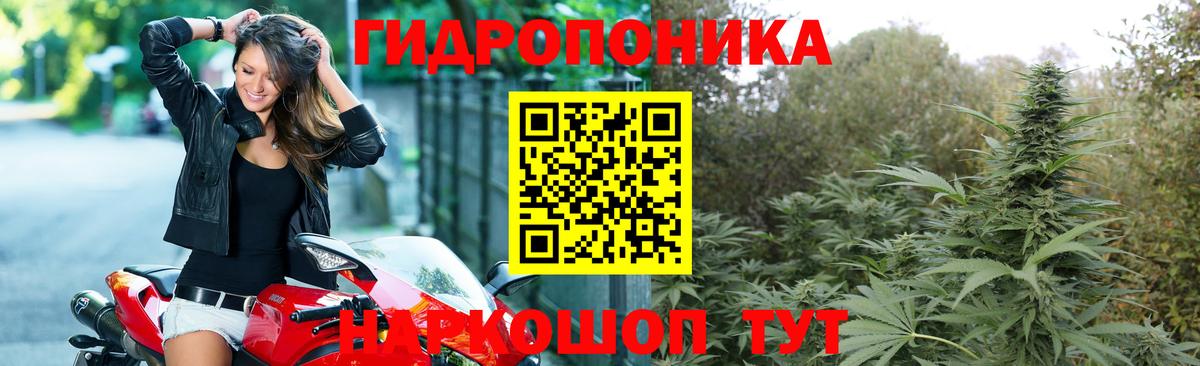 Каннабис конопля  Вход с VPN  Бошки Шишки конопля  Удомля  Бошки Шишки индика 